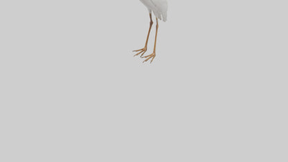 Cattle Egret standing model 3D model