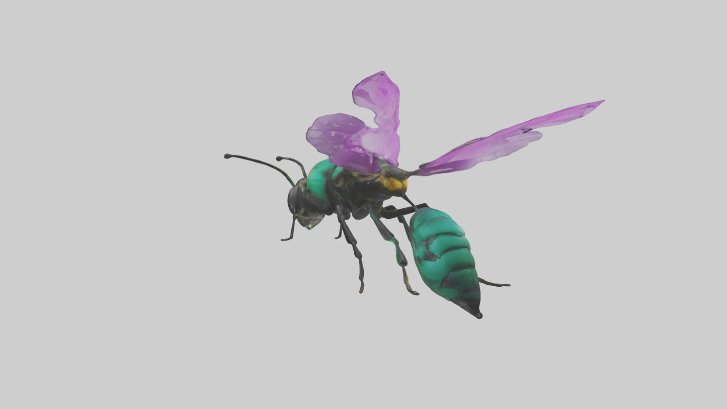 Cattleya Orchid bee flying model 3D model