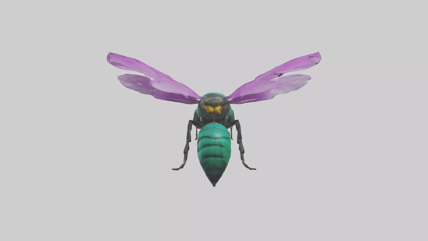 Cattleya Orchid bee flying model 3D model
