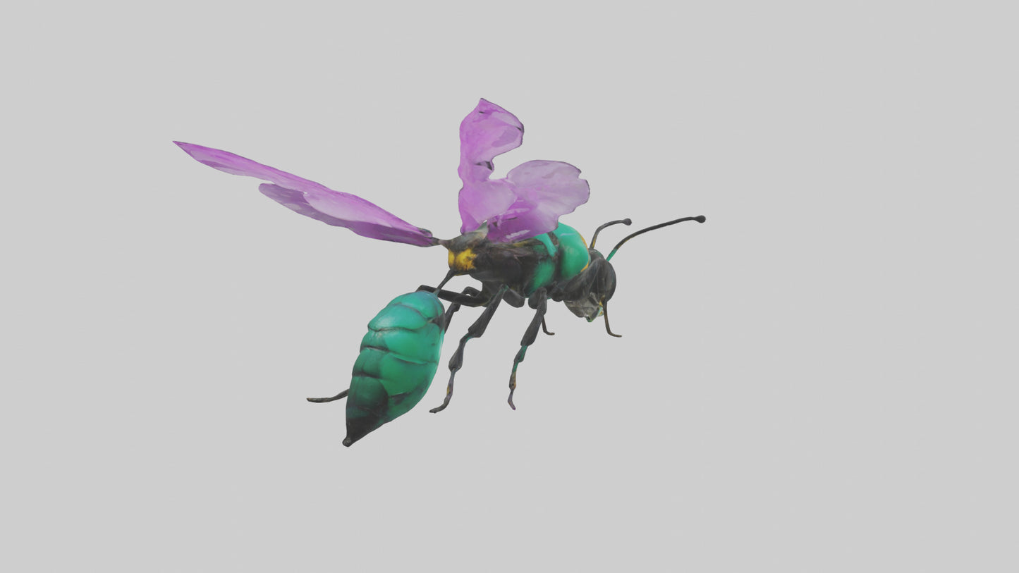 Cattleya Orchid bee flying model 3D model