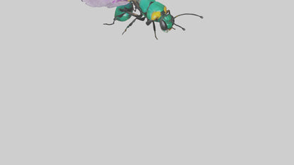 Cattleya Orchid bee flying model 3D model