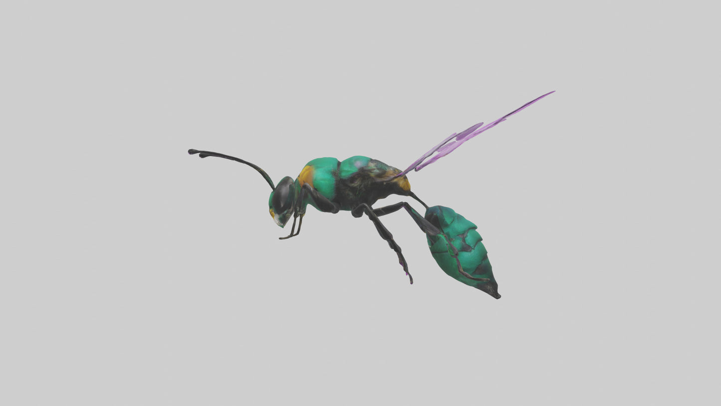 Cattleya Orchid bee flying model 3D model