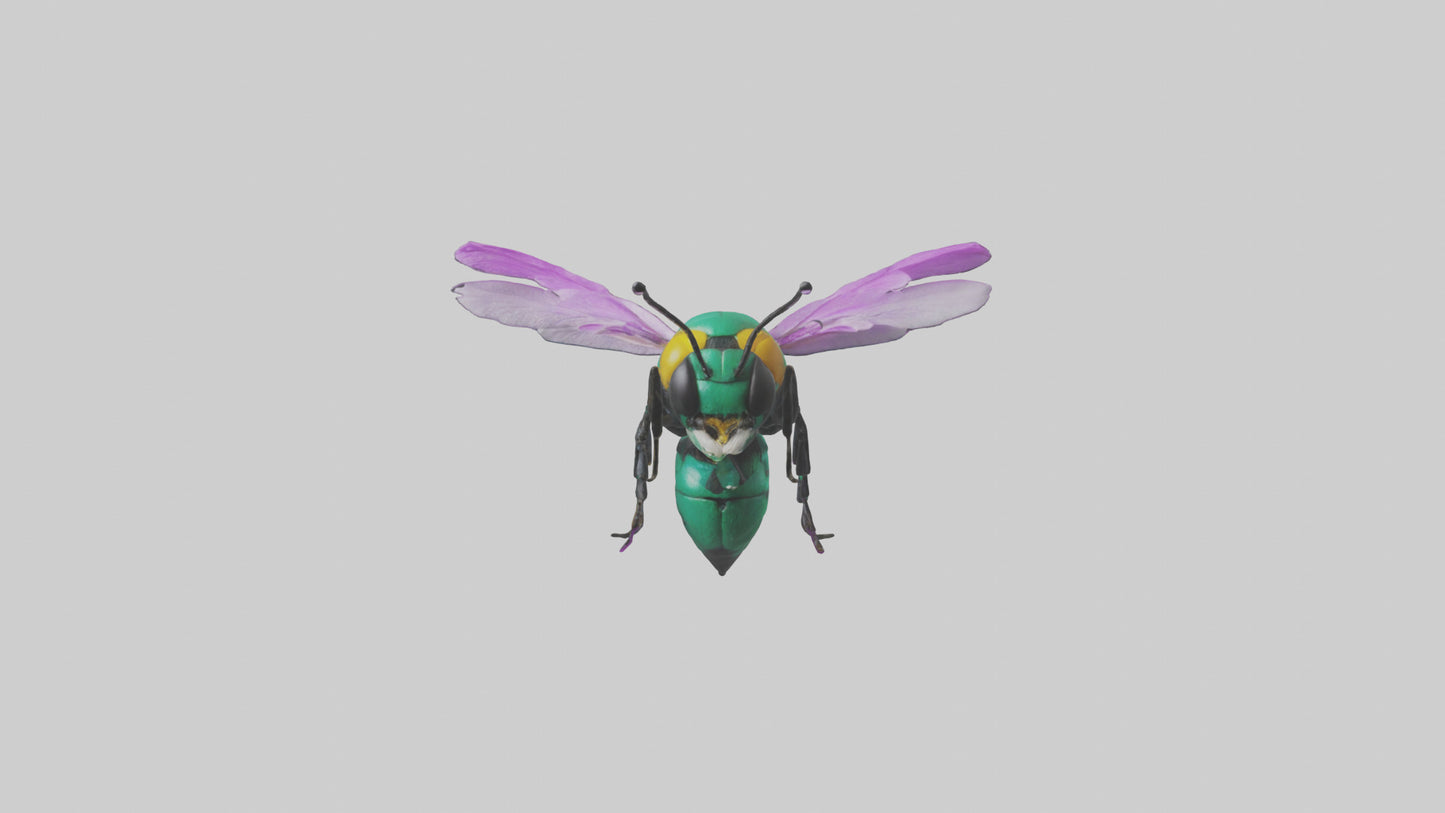 Cattleya Orchid bee flying model 3D model