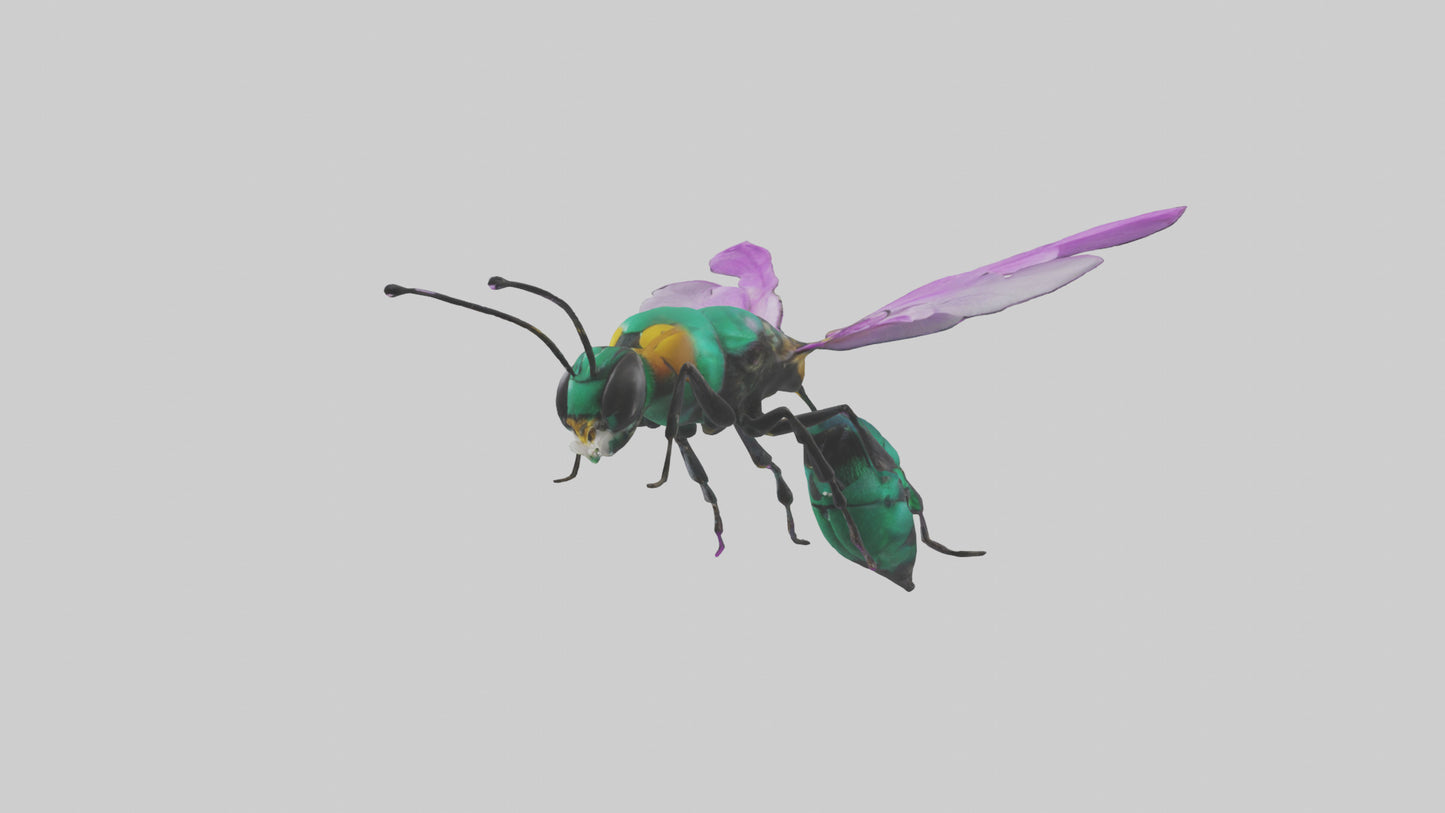 Cattleya Orchid bee flying model 3D model