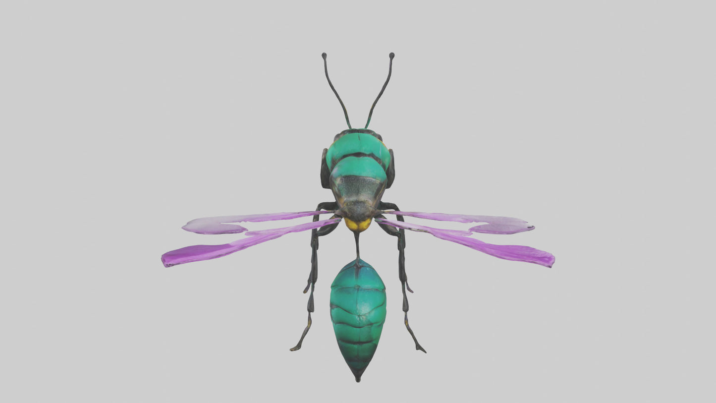 Cattleya Orchid bee flying model 3D model