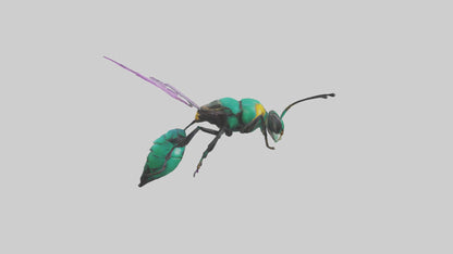 Cattleya Orchid bee flying model 3D model