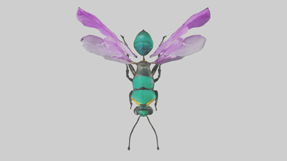 Cattleya Orchid bee flying model 3D model