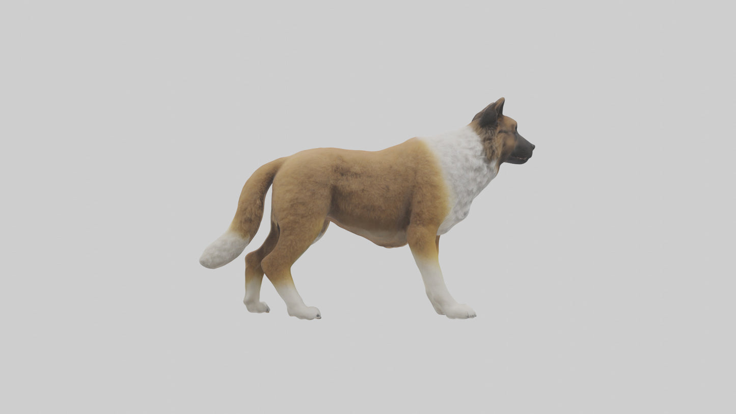 Caucasian Shepherd guarding model VR / AR / low-poly