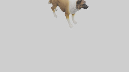 Caucasian Shepherd guarding model VR / AR / low-poly