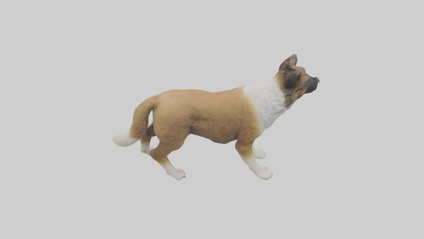 Caucasian Shepherd guarding model VR / AR / low-poly