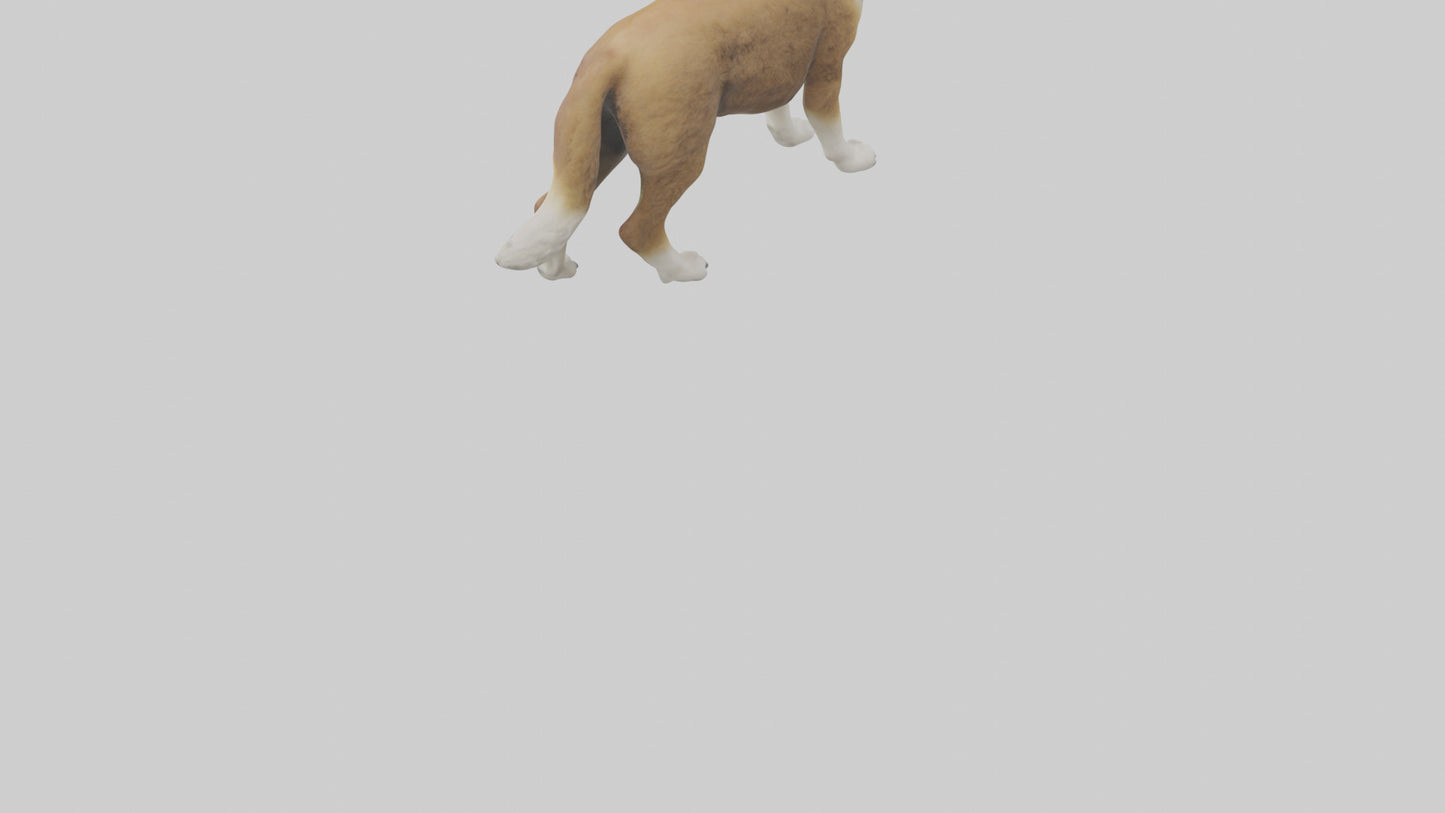 Caucasian Shepherd guarding model VR / AR / low-poly