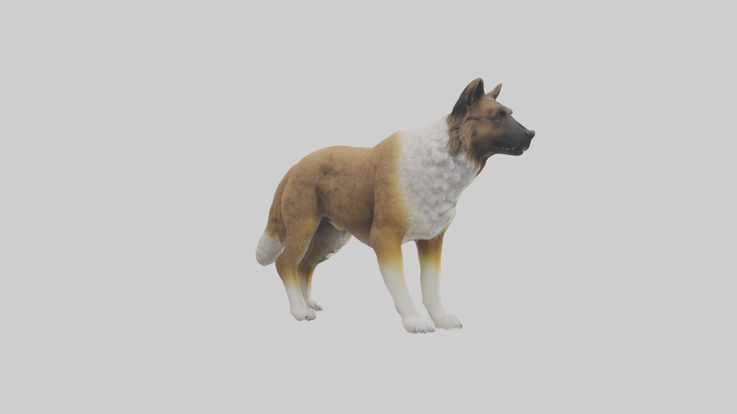 Caucasian Shepherd guarding model VR / AR / low-poly