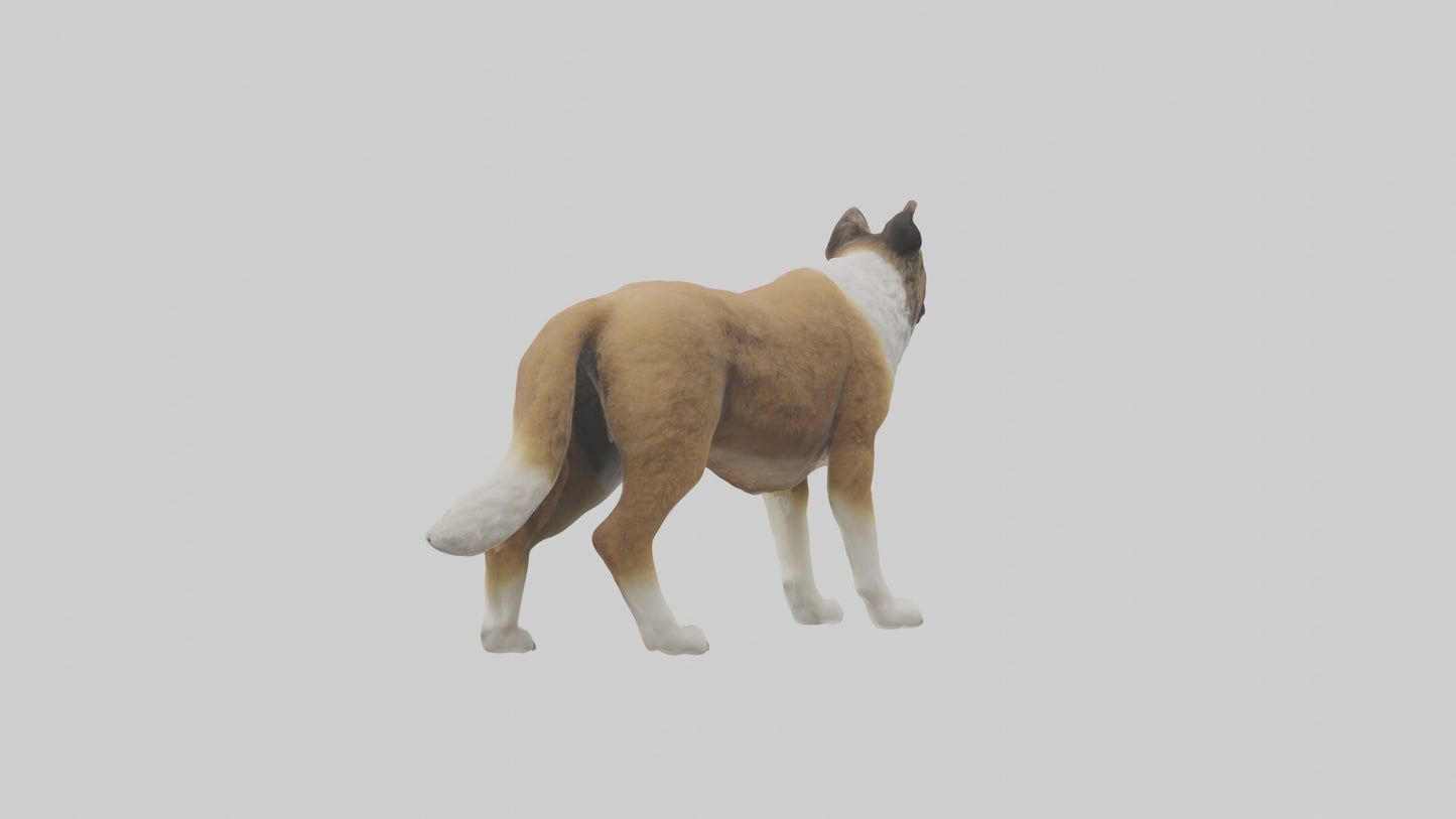 Caucasian Shepherd guarding model VR / AR / low-poly
