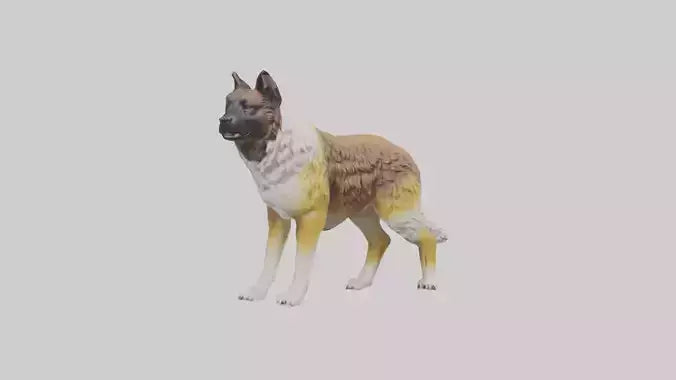 Caucasian Shepherd guarding model VR / AR / low-poly
