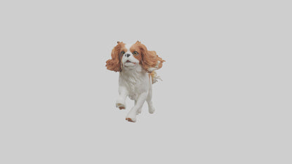 3D model Cavalier King Charles Spaniel running model VR / AR / low-poly