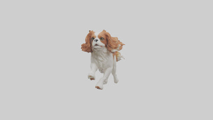 3D model Cavalier King Charles Spaniel running model VR / AR / low-poly