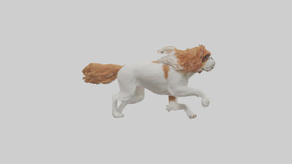 3D model Cavalier King Charles Spaniel running model VR / AR / low-poly