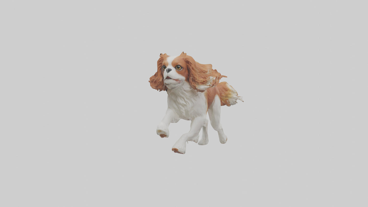 3D model Cavalier King Charles Spaniel running model VR / AR / low-poly