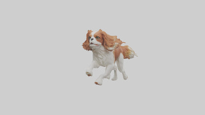 3D model Cavalier King Charles Spaniel running model VR / AR / low-poly