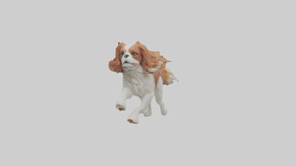 3D model Cavalier King Charles Spaniel running model VR / AR / low-poly