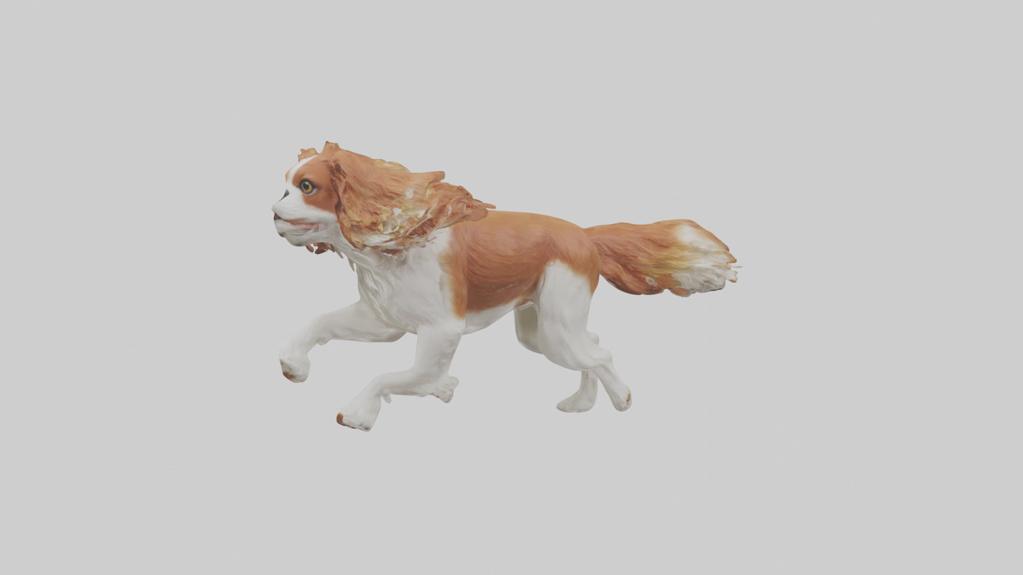3D model Cavalier King Charles Spaniel running model VR / AR / low-poly