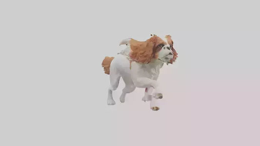3D model Cavalier King Charles Spaniel running model VR / AR / low-poly