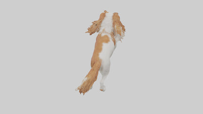 3D model Cavalier King Charles Spaniel running model VR / AR / low-poly