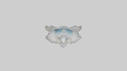 Celestial Giant model VR / AR / low-poly