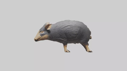 Chacoan Peccary digging model VR / AR / low-poly