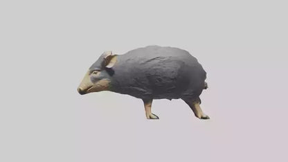Chacoan Peccary digging model VR / AR / low-poly