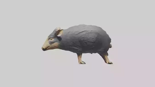 Chacoan Peccary digging model VR / AR / low-poly