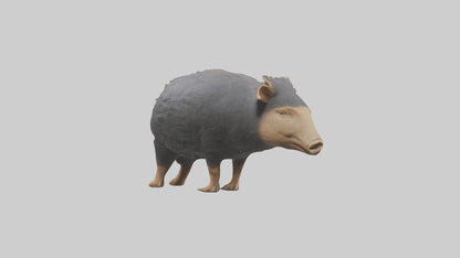 Chacoan Peccary digging model VR / AR / low-poly