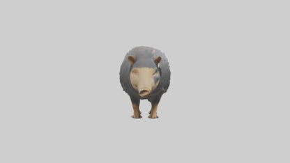 Chacoan Peccary digging model VR / AR / low-poly