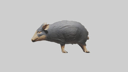 Chacoan Peccary digging model VR / AR / low-poly