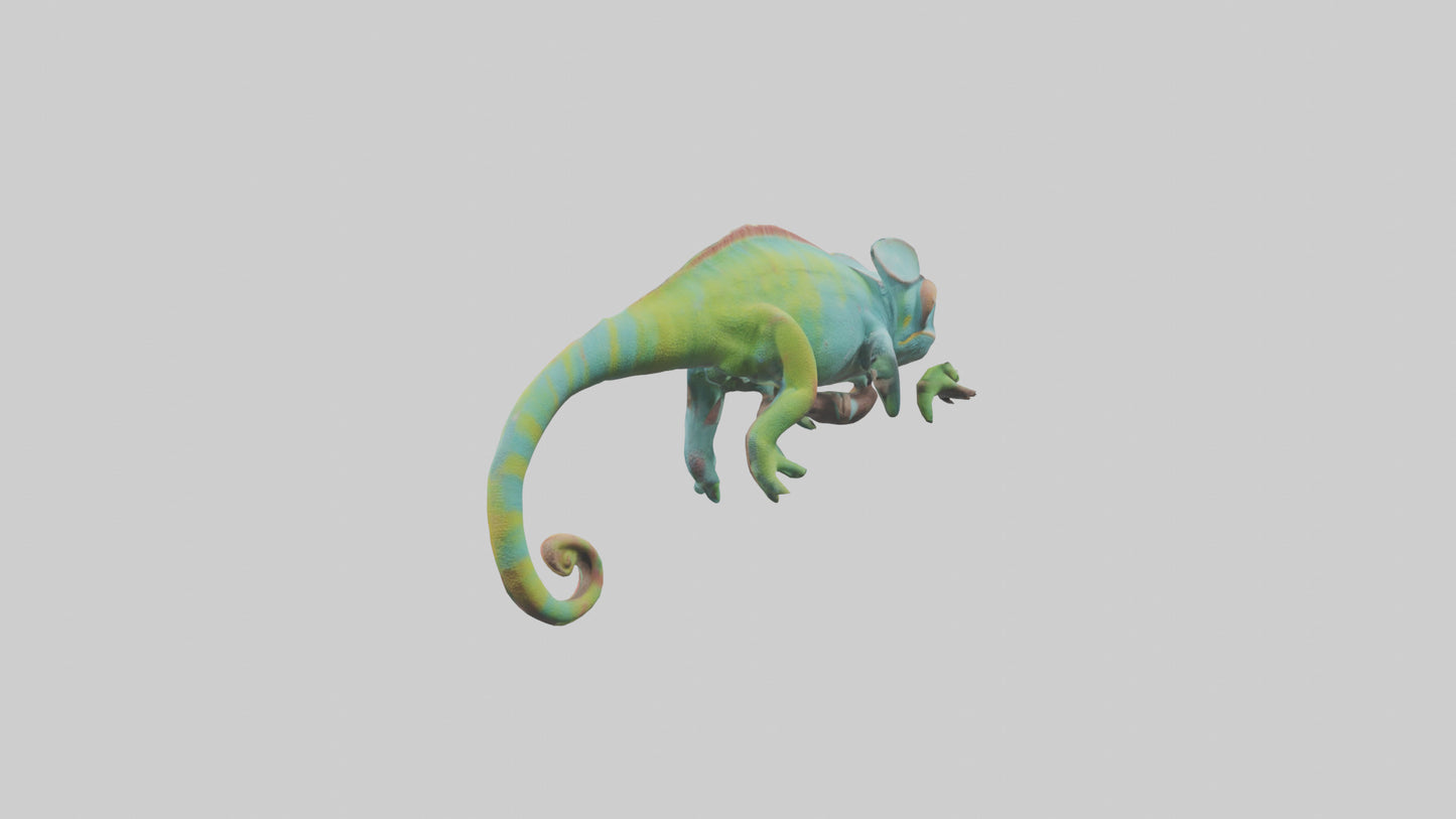 Chameleon climbing branch model VR / AR / low-poly