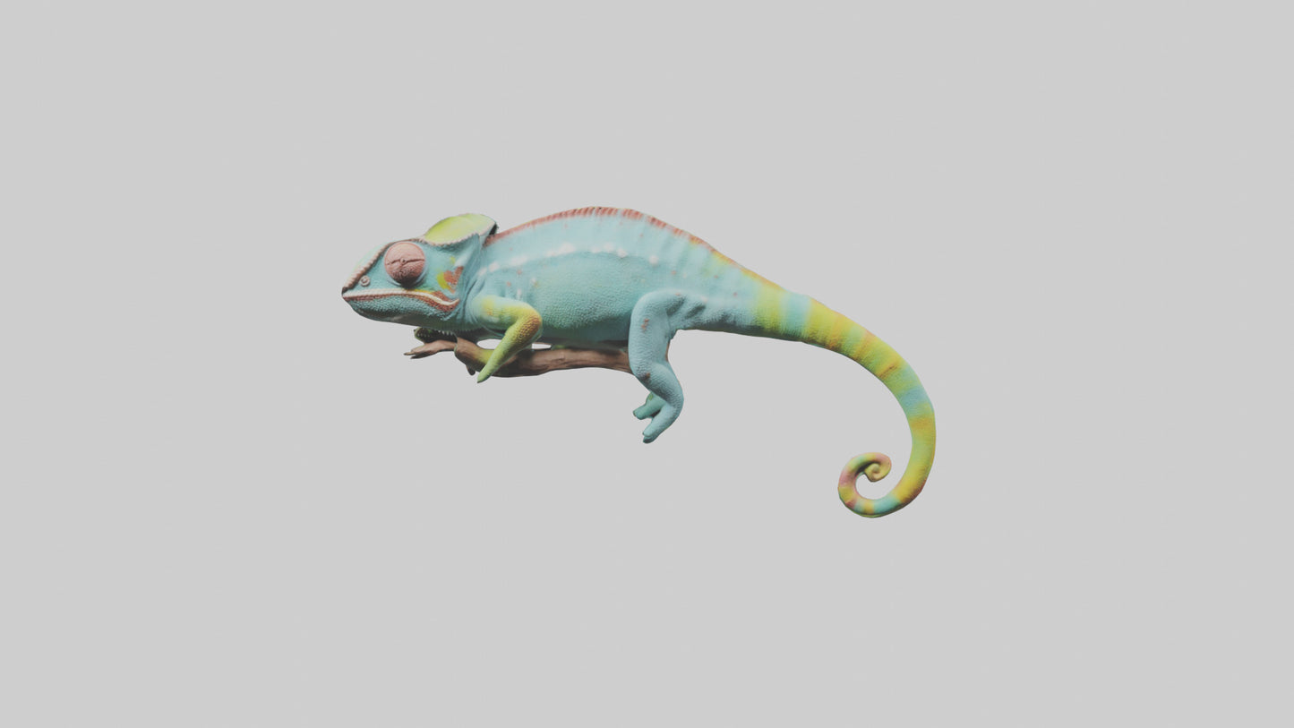 Chameleon climbing branch model VR / AR / low-poly