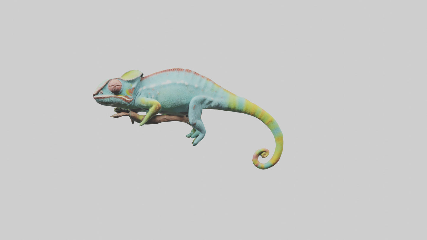 Chameleon climbing branch model VR / AR / low-poly