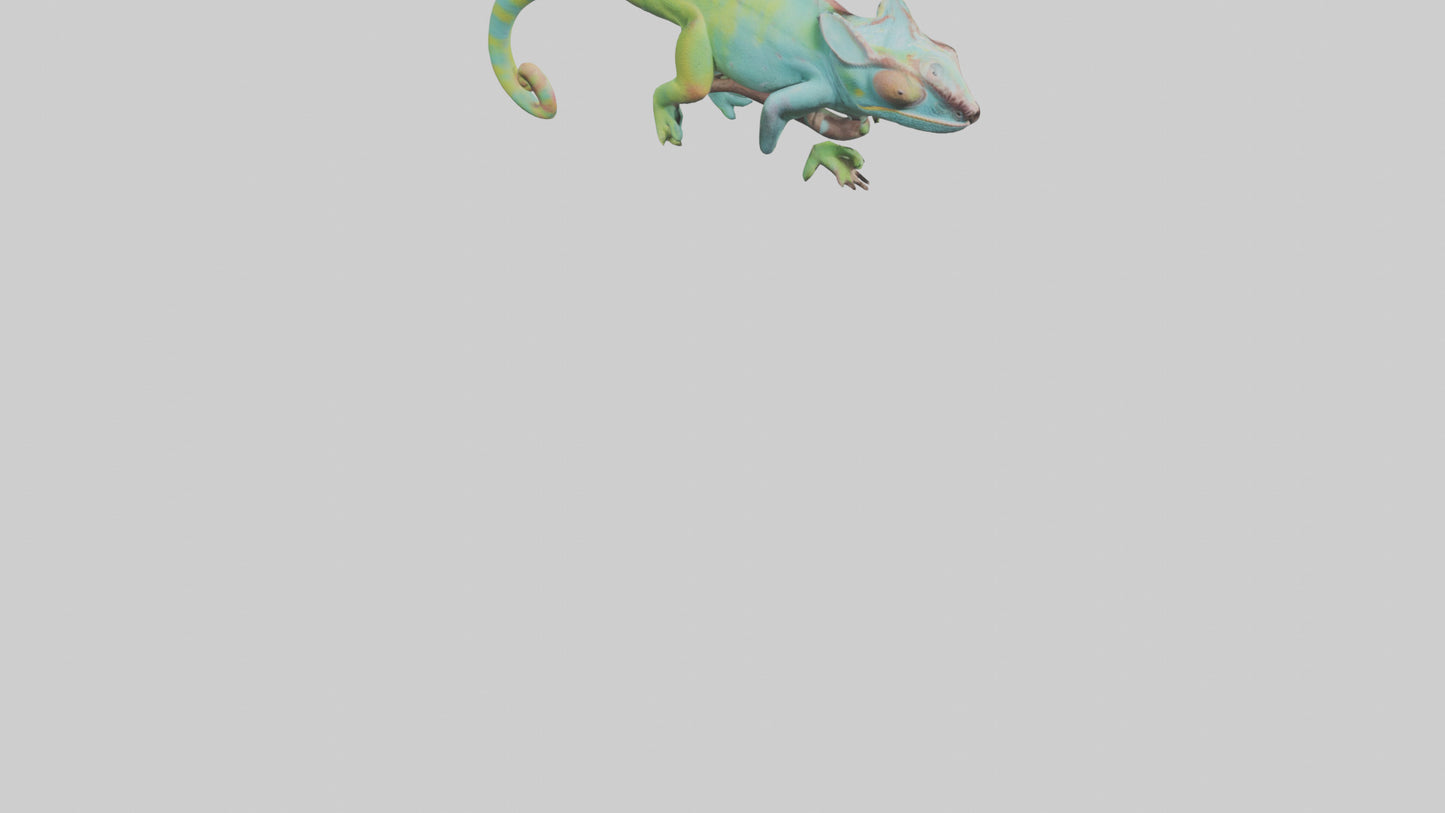 Chameleon climbing branch model VR / AR / low-poly