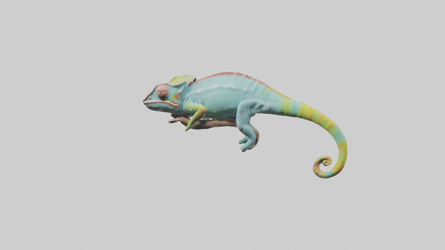 Chameleon climbing branch model VR / AR / low-poly