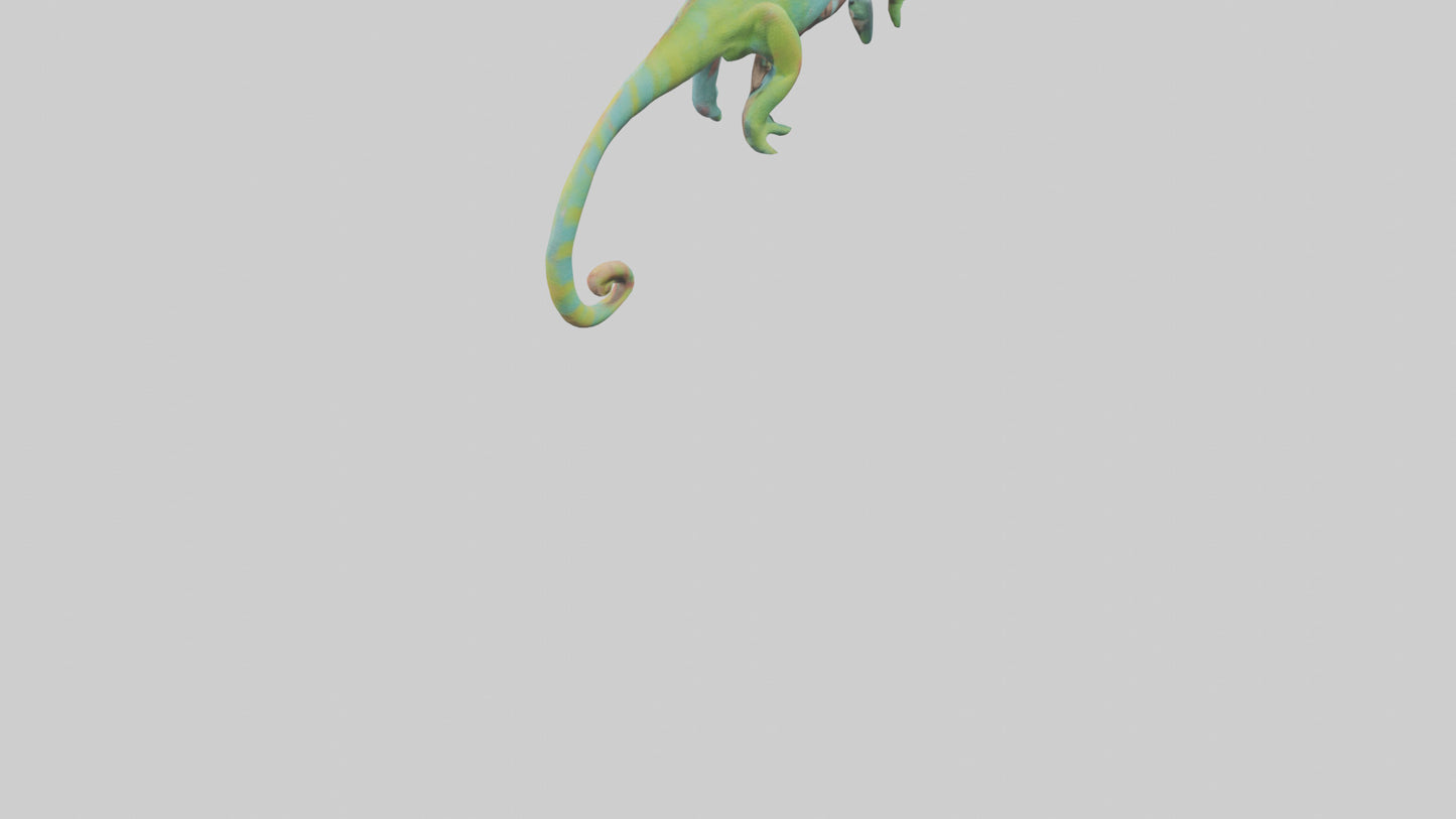 Chameleon climbing branch model VR / AR / low-poly