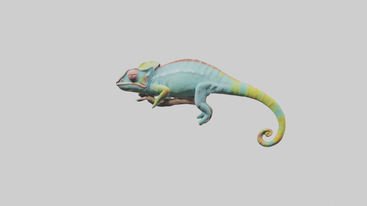 Chameleon climbing branch model VR / AR / low-poly
