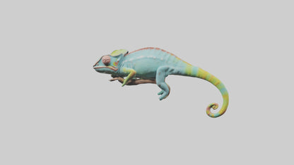 Chameleon climbing branch model VR / AR / low-poly
