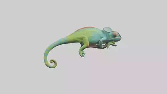 Chameleon climbing branch model VR / AR / low-poly