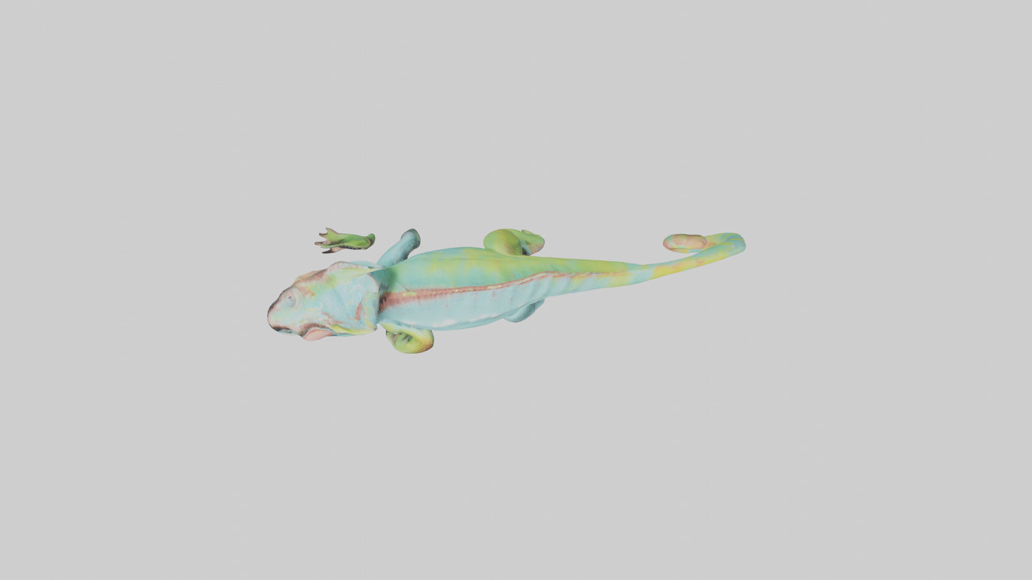 Chameleon climbing branch model VR / AR / low-poly
