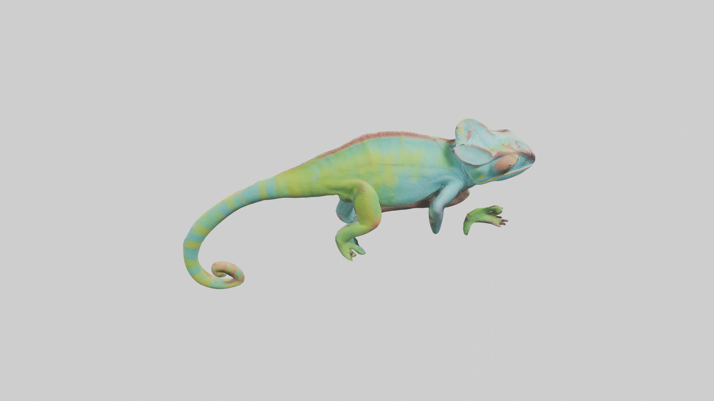 Chameleon climbing branch model VR / AR / low-poly