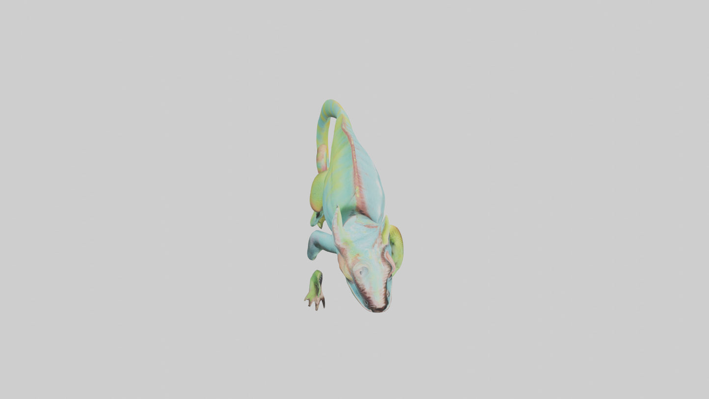 Chameleon climbing branch model VR / AR / low-poly