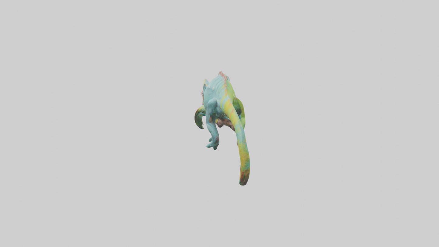 Chameleon climbing branch model VR / AR / low-poly