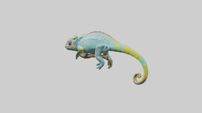 Chameleon climbing branch model VR / AR / low-poly