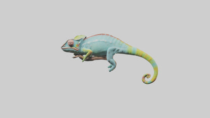 Chameleon climbing branch model VR / AR / low-poly