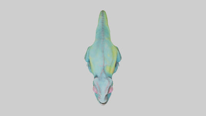 3D model Chameleon Eyes Model VR / AR / low-poly